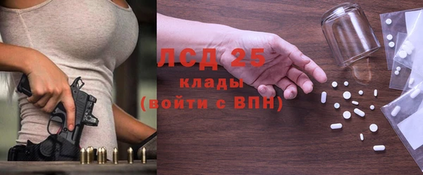 индика Мегион