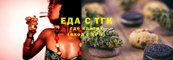 индика Мегион