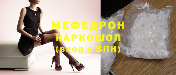 индика Мегион