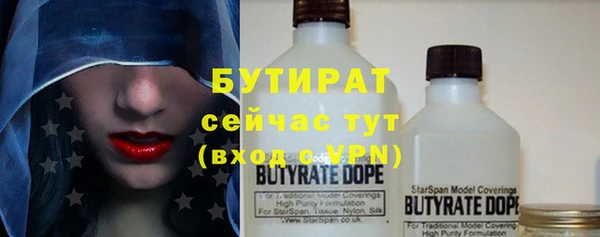 индика Мегион