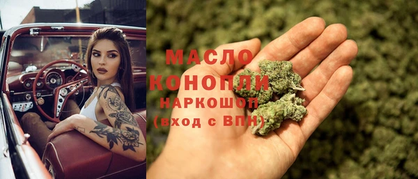 индика Мегион