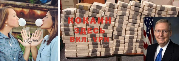 индика Мегион