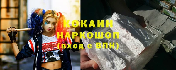 индика Мегион