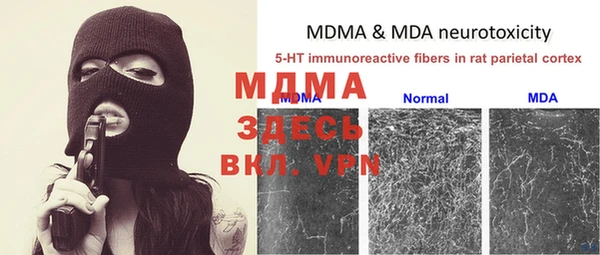 индика Мегион