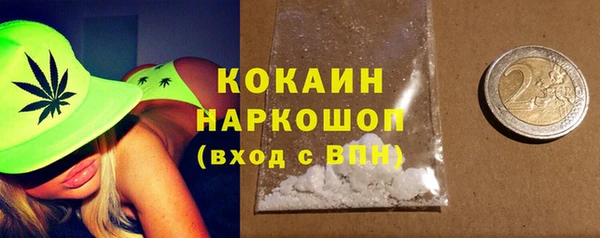 индика Мегион