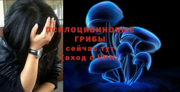 альфа пвп Медвежьегорск