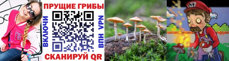 Псилоцибиновые грибы Magic Shrooms  Купить закладки  Катайск 
